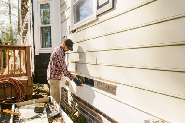 Top rated local Siding Replacement specialists in Webster, FL